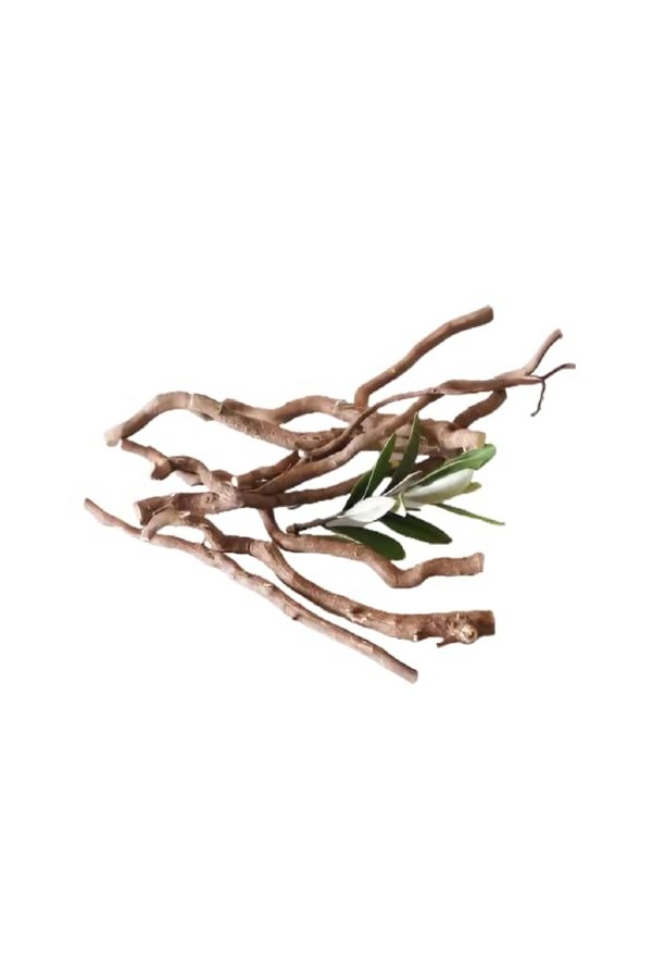 Racines Gouro Pour Homme, cure dent Gouro