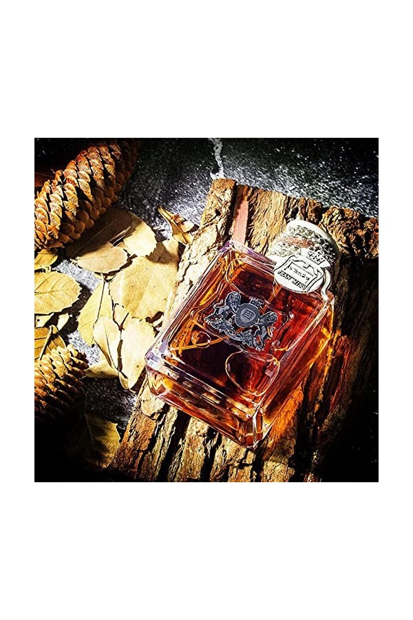 Parfum Alpha Men Feromone, Pheromone Cologne pour hommes attirent les femmes, 100 ml de parfum Feromone pour hommes, pour le