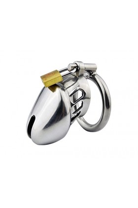 Serrures en acier inoxydable, serrures pour cages à oiseaux, outils de sport, produits masculins