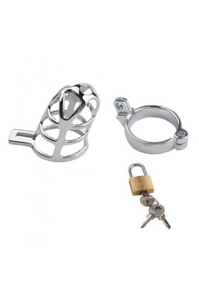 POSLAB Idéal pour profiter dun entraînement efficace Cage en acier inoxydable, cage dentraînement protectrice argent B-11