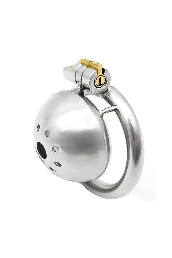 Argent en acier inoxydable en métal trompette respirant cage avec clé et serrure,45mm