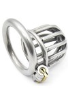 Argent en acier inoxydable en métal trompette respirant cage avec clé et serrure,45mm