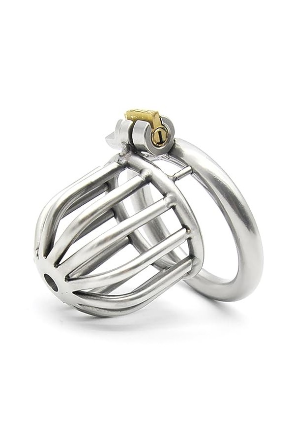 Argent en acier inoxydable en métal trompette respirant cage avec clé et serrure,45mm