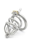 QGINESE Élégant en acier inoxydable grande cage respirante avec bouchon transparent creux avec clé et serrure,45mm