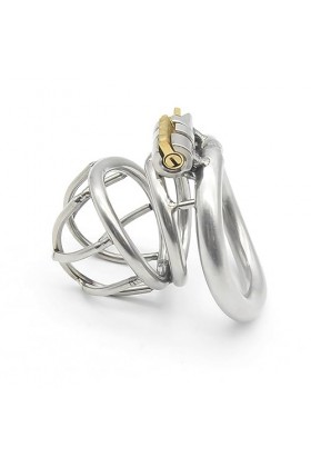 Acier inoxydable en métal trompette respirant cage avec clé et serrure,45mm