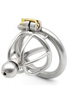 QGINESE Cage respirante en acier inoxydable avec bouchon creux en métal avec clé et serrure,40mm