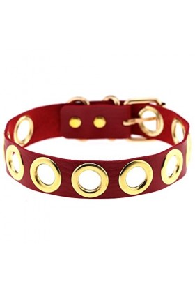 Collier en cuir PU personnalité punk chaîne de cou cercle or collier court clavicule collier pour filles printemps et été vêt