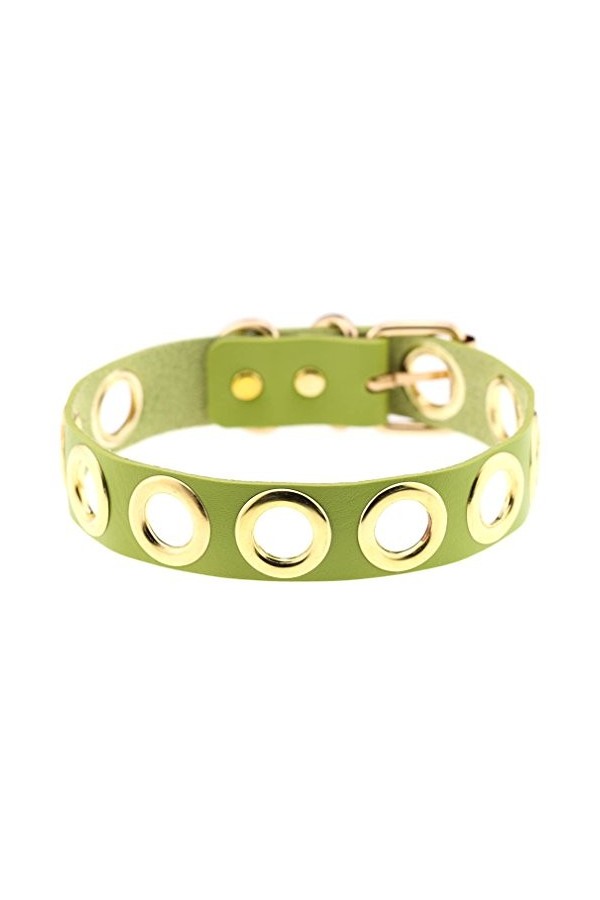 Collier en cuir PU personnalité punk chaîne de cou cercle or collier court clavicule collier pour filles printemps et été vêt