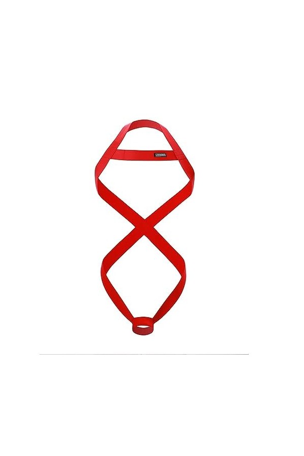 WSZJLN Harnais de Corps pour Hommes, Bretelles Licou Sexy, Lingerie Creuse, Costume de Harnais de Poitrine, Rouge, Taille Uni