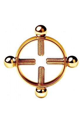 FBITE Imperméable à leau en Acier Inoxydable, Facile à Stocker,Gold