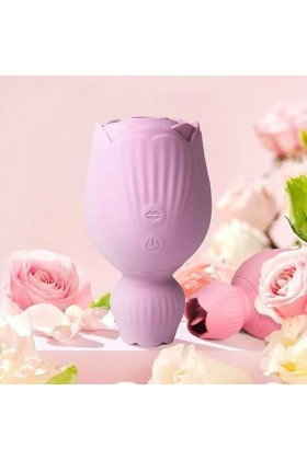 Double stimulateur clitoridien