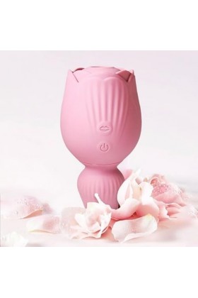 Double Stimulateur Clitoridien