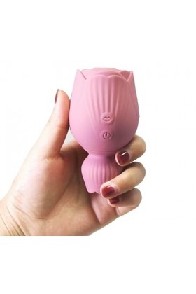 Double Stimulateur Clitoridien