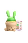 Aven Rabbit Hugging Succulents Series Blind Box Jouets 1 paquet 