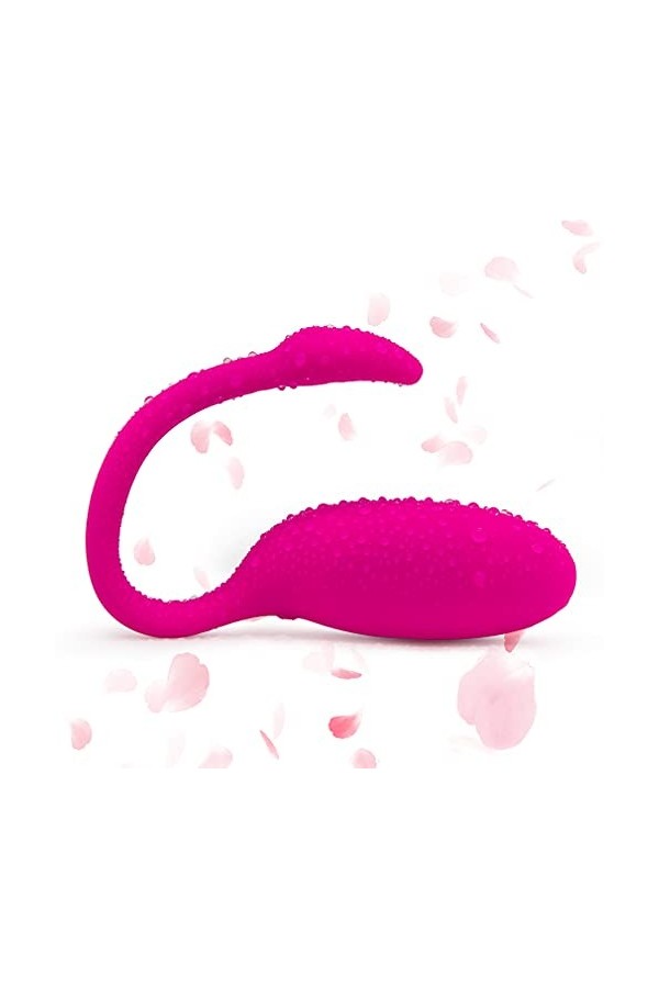 Vîbrant APP Culotte Toys Wearable Vibrator Medical Silicone Télécommande sans fil Vibrant Rechargeable Massager Jouets pour f