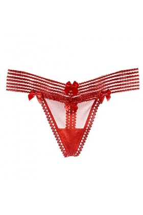 Femmes Sexy Dentelle Évider Brodé Maille Pure Culotte Évider Taille Basse Grande Taille Legging Culotte Transparente pour Fem