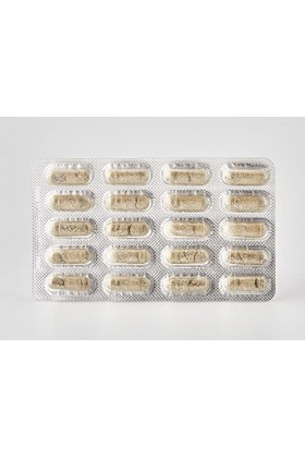 Labophyto Arginine Tribulus - 60 Gélules
