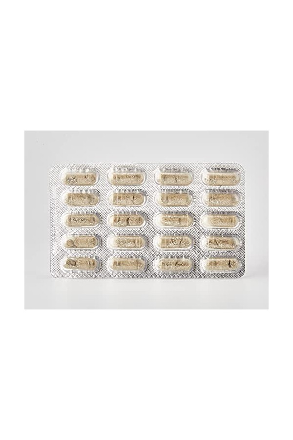 Labophyto Arginine Tribulus - 60 Gélules